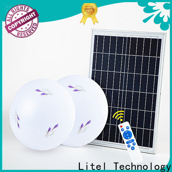 Litel Technology Custom Solar Outdoor Deckenleuchte ODM für Alarm
