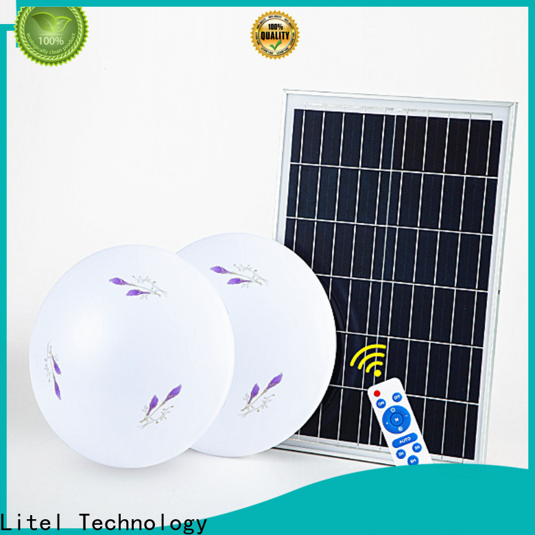 LITEL Technology Niestandardowe światło sufitowe zasilane energią słoneczną na wysoki sposób