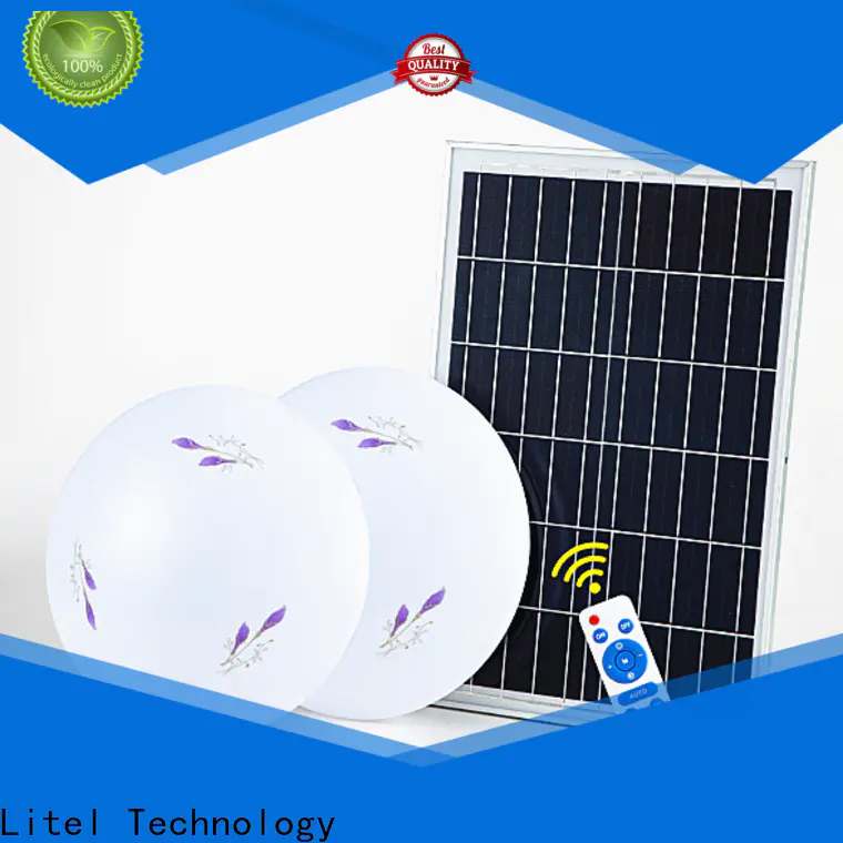 Litel Technology custom solar outdoor ceiling light bulk production for street lighting