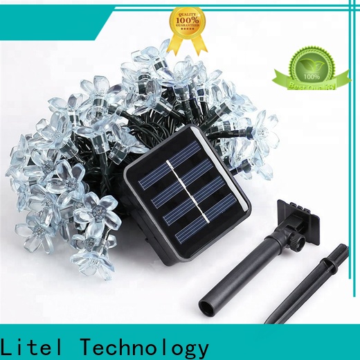 लिटेल प्रौद्योगिकी मुफ्त डिलिवरी सजावटी उद्यान प्रकाश बिक्री के लिए आसान स्थापना