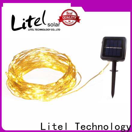 Технология Litel Custom Открытые декоративные огни Простая установка для продажи
