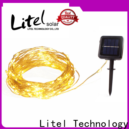 Litel Technology Custom Outdoor Dekorative Lichter Einfache Installation zum Verkauf