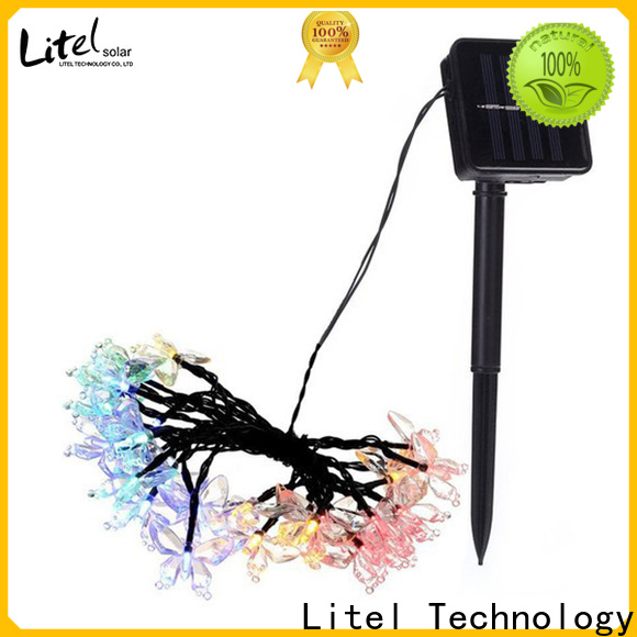 Litel Technology custom outdoor decorative lights by bulk for customization