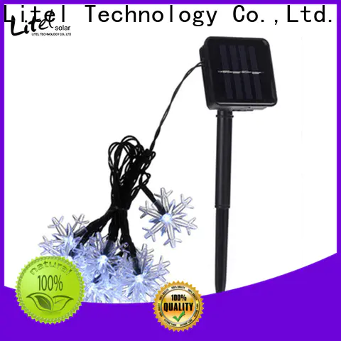 Litel Technology custom outdoor decorative lights at discount for decoration