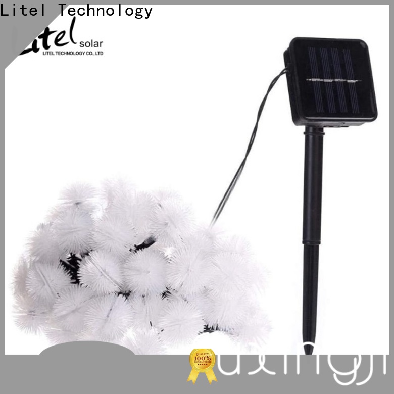 Litel Technology popular outdoor decorative lights easy installation for sale