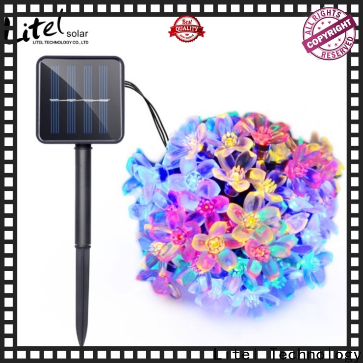 Litel Technology free delivery decorative garden light by bulk for decoration