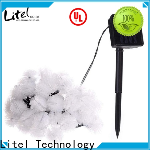 Litel Technology universal outdoor decorative lights easy installation for decoration