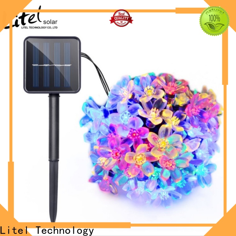 Litel Technology popular decorative garden light by bulk for sale