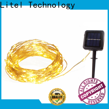 Litel Technology popular decorative garden light by bulk for house