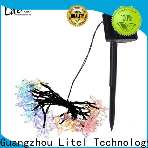 Litel Technology custom outdoor decorative lights at discount for wholesale