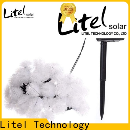 Litel Technology universal decorative garden light by bulk for customization