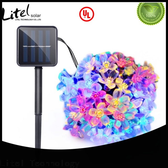 Litel Technology hot-sale outdoor decorative lights by bulk for family