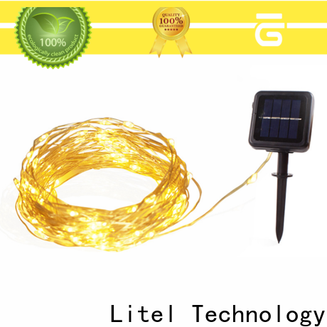 Litel Technology universal outdoor decorative lights easy installation for customization