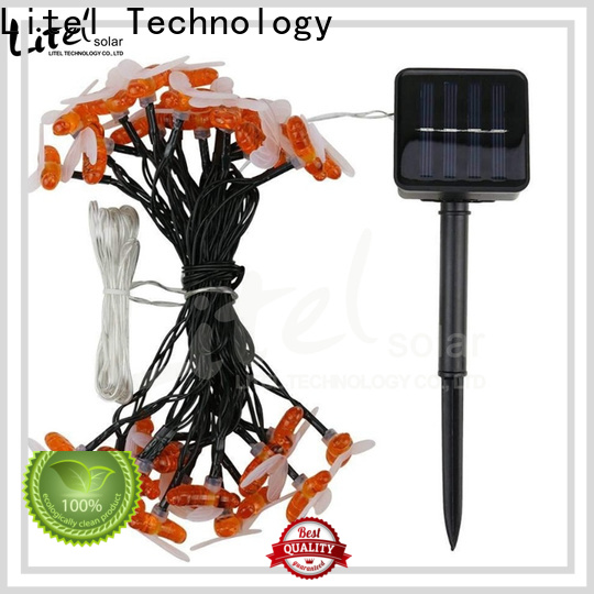 Litel Technology custom decorative garden light easy installation for decoration