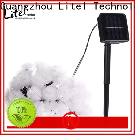 Litel Technology free delivery decorative garden light at discount for sale
