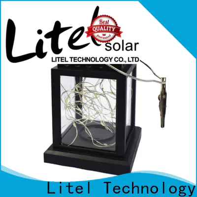 Litel Technology custom decorative garden light at discount for customization