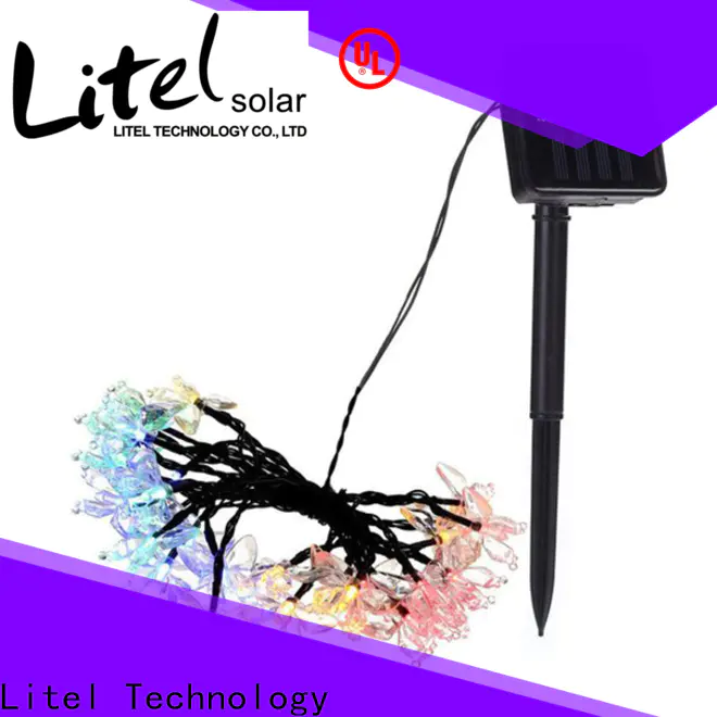 Litel Technology popular outdoor decorative lights easy installation for sale