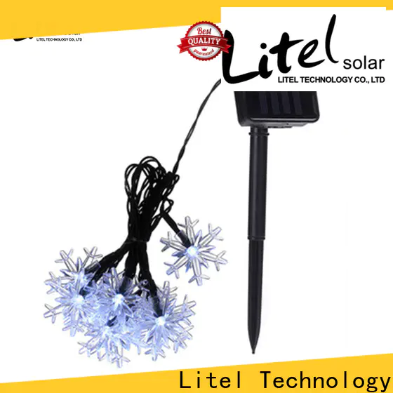 free delivery decorative garden light hot-sale at discount for customization