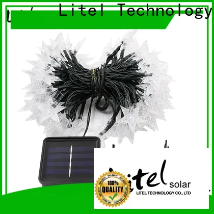 Litel Technology beautiful decorative garden light easy installation for customization