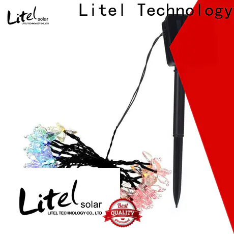 Litel Technology popular decorative garden light at discount for decoration