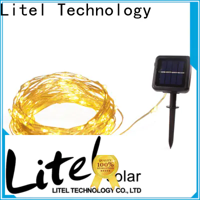 Litel Technology custom outdoor decorative lights easy installation for sale