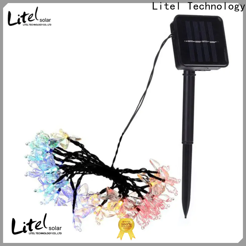 Litel Technology free delivery outdoor decorative lights at discount for house