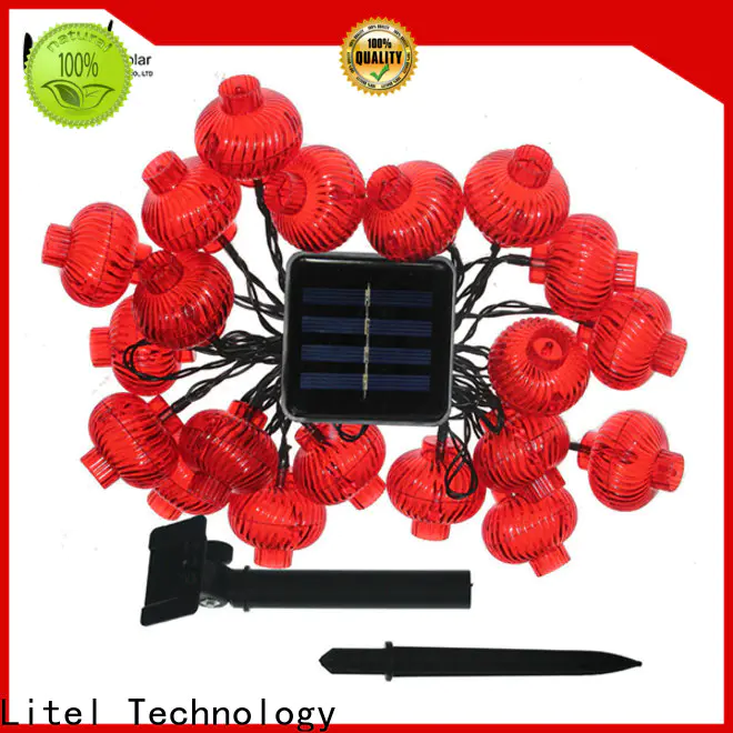 free delivery outdoor decorative lights popular by bulk for decoration