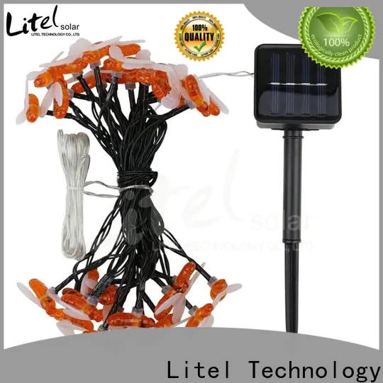 Litel Technology popular outdoor decorative lights easy installation for wholesale
