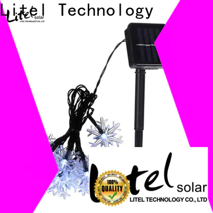 Litel Technology free delivery decorative garden light at discount for house