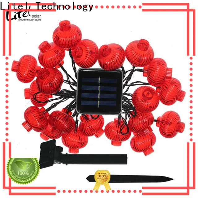 Litel Technology hot-sale outdoor decorative lights at discount for family
