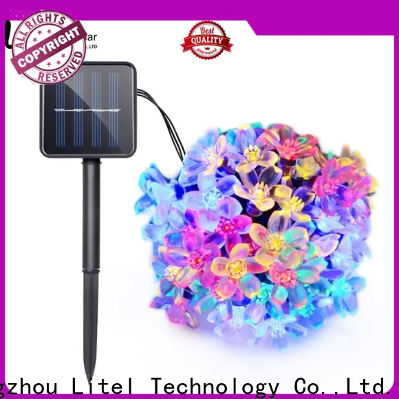 Litel Technology universal outdoor decorative lights at discount for customization