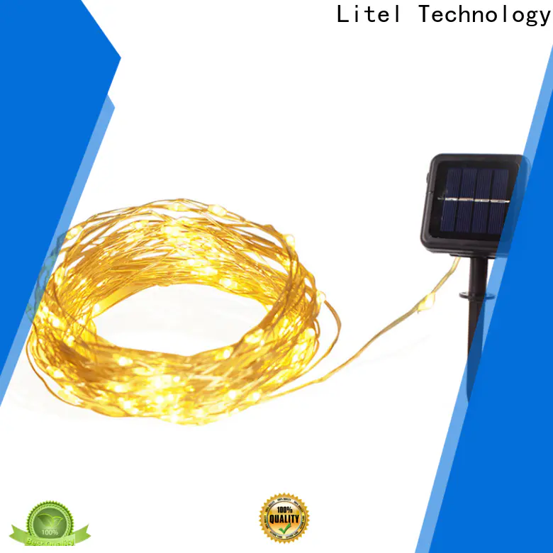 Litel Technology hot-sale decorative garden light at discount for house