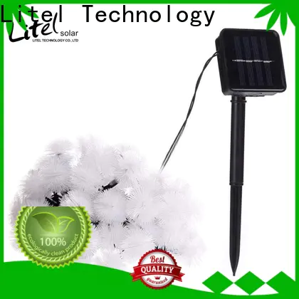 Litel Technology beautiful outdoor decorative lights at discount for wholesale