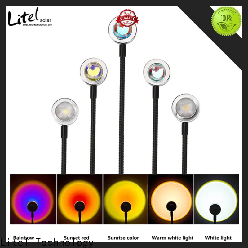 Litel Technology beautiful outdoor decorative lights at discount for wholesale