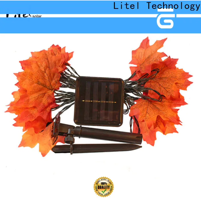 Litel Technology beautiful outdoor decorative lights easy installation for decoration