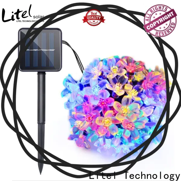 Litel Technology popular decorative garden light by bulk for house