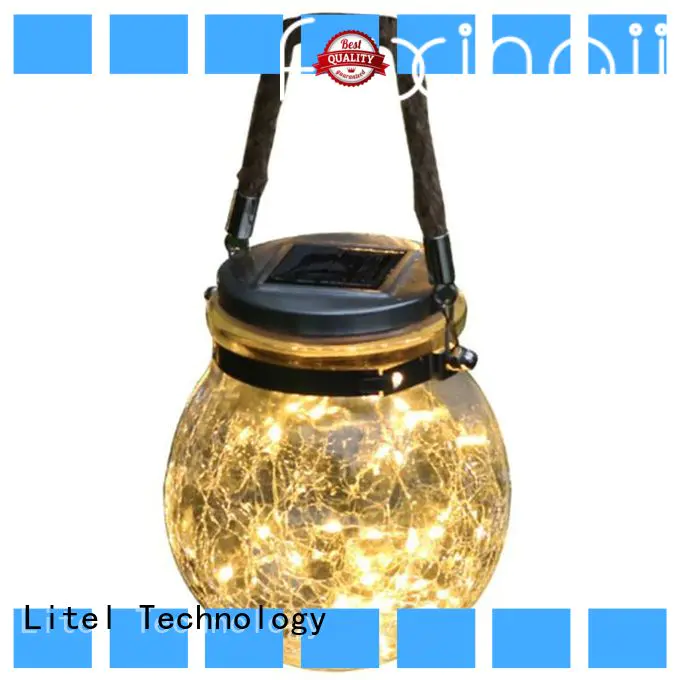 Litel Technology custom decorative garden light by bulk for sale