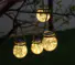 beautiful decorative garden light hot-sale for family Litel Technology