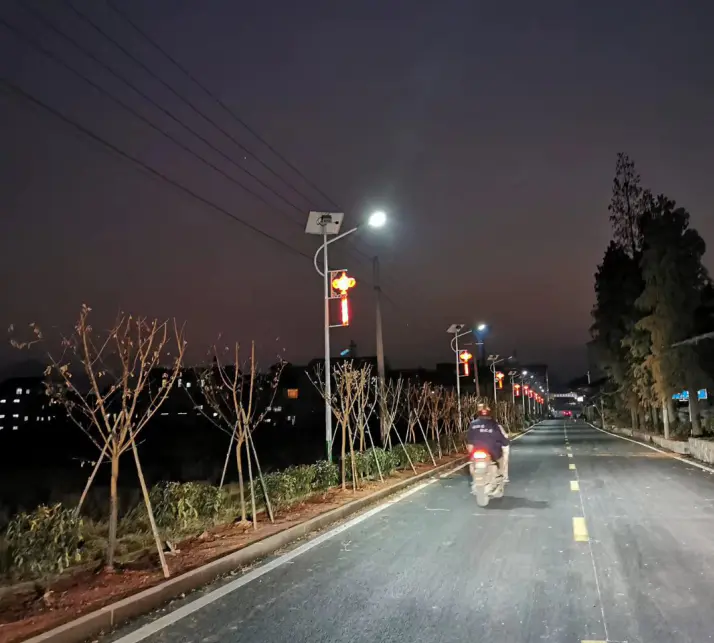 Thailandia Torch Split-Type Solar Street Light Project in Strada