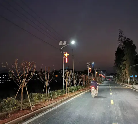 Thailand Torch split-type solar street light project in road