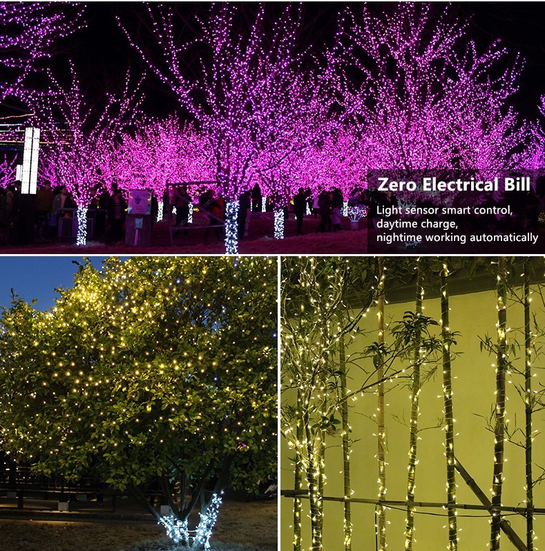 Litel Technology Hot-Sale Decorativo Garden Light Instalação fácil para a família-5