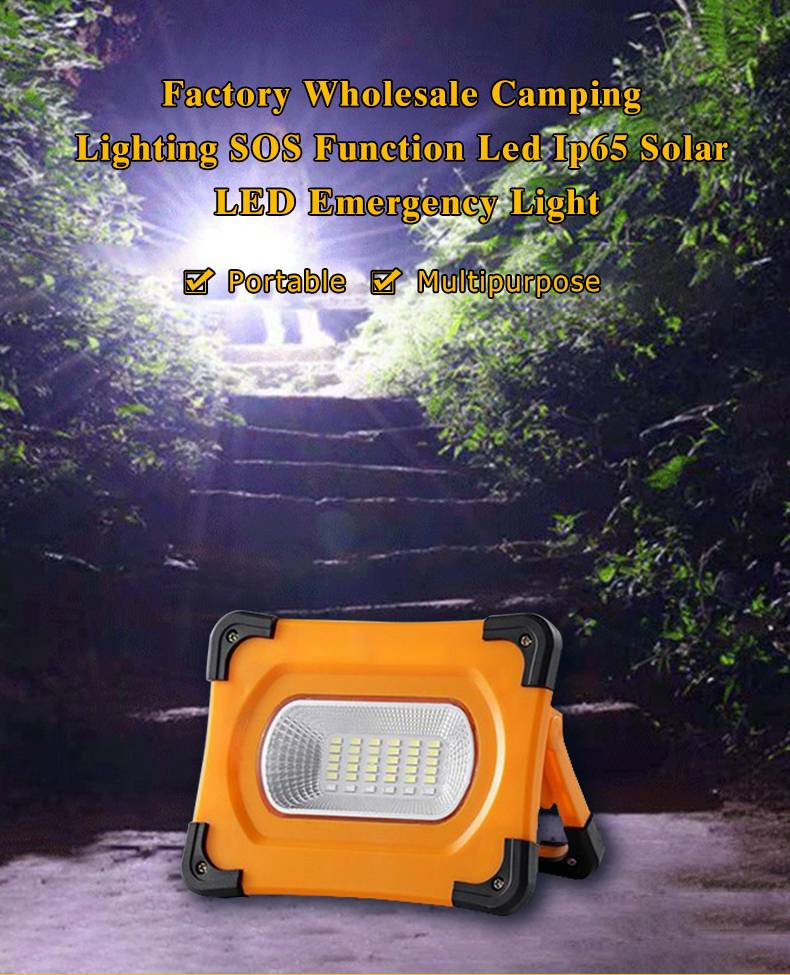 Litel Technology remote control solar flood lights for barn-1