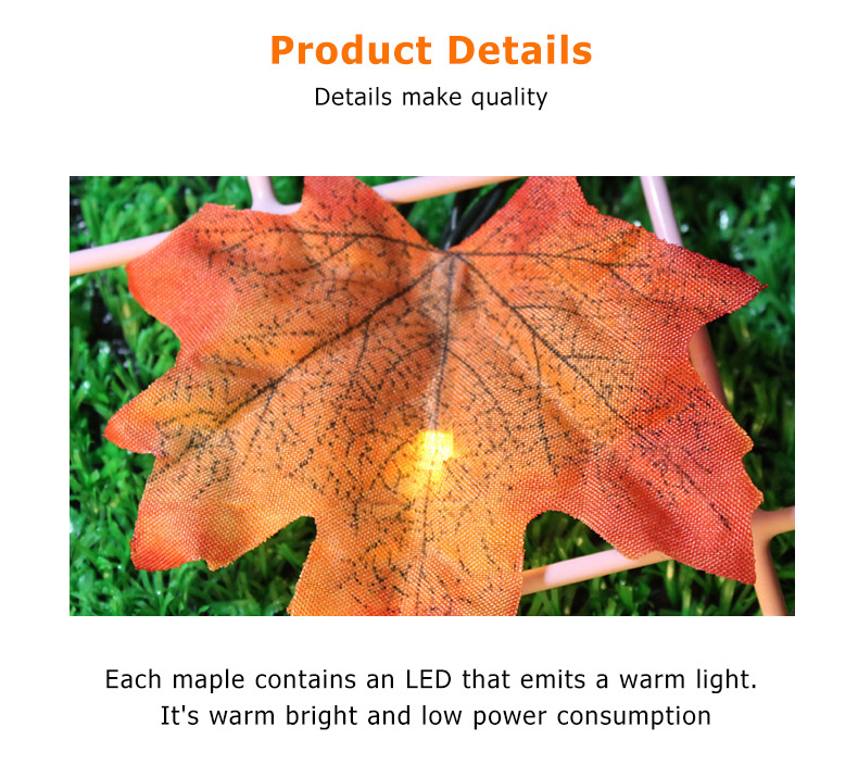Litel Technology beautiful outdoor decorative lights easy installation for decoration-2