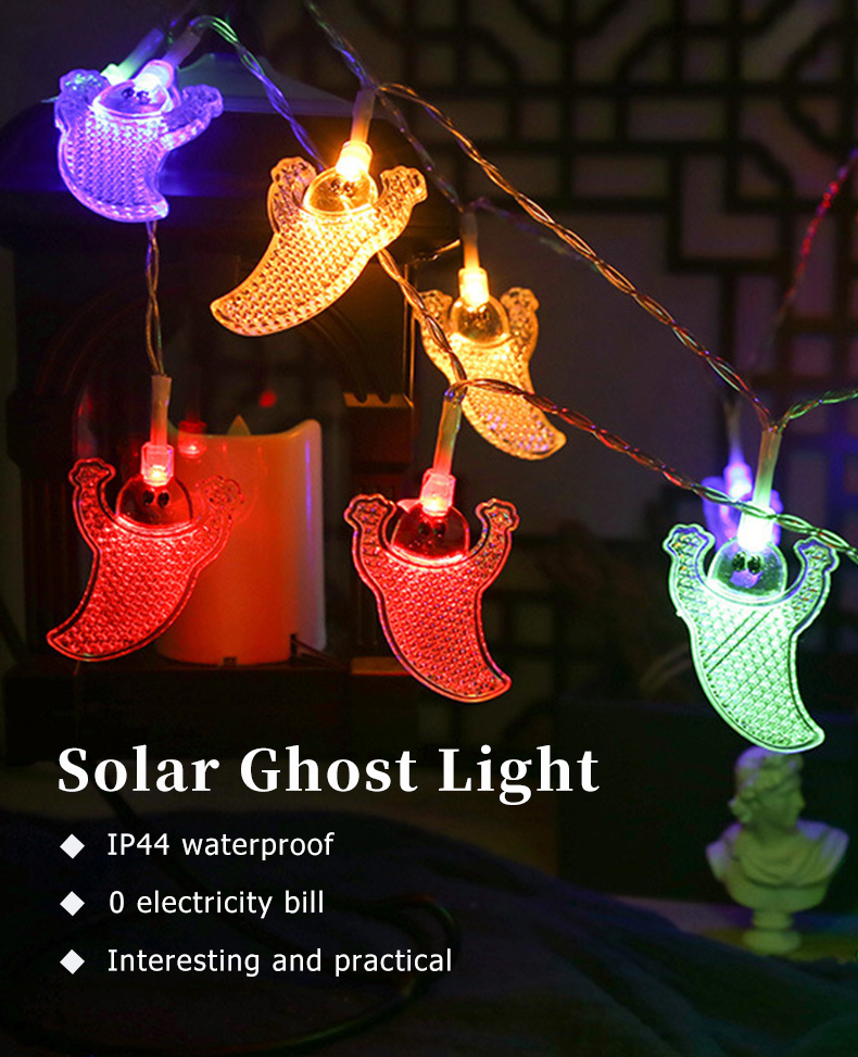 Litel Technology popular outdoor decorative lights by bulk for sale-1