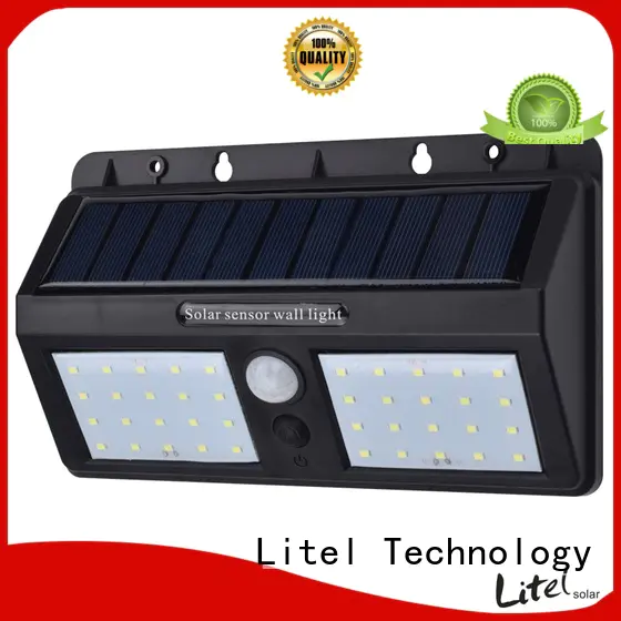 Litel Technology lights stainless steel solar garden lights buy for landscape