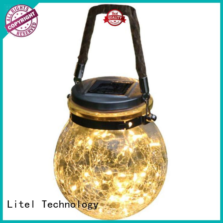 beautiful outdoor decorative lights hot-sale for wholesale Litel Technology