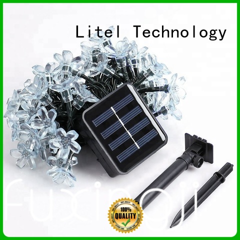 Technologia LITEL Darmowa dostawa Dekoracyjne światło ogrodowe Hot-Sprzedaż na sprzedaż