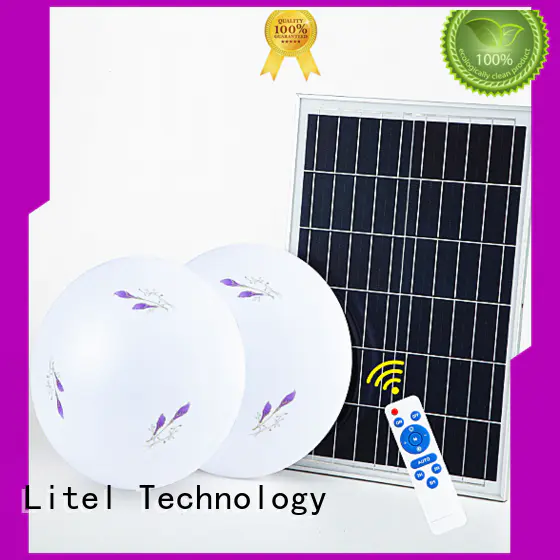 Litel Technology custom solar outdoor ceiling light ODM for road