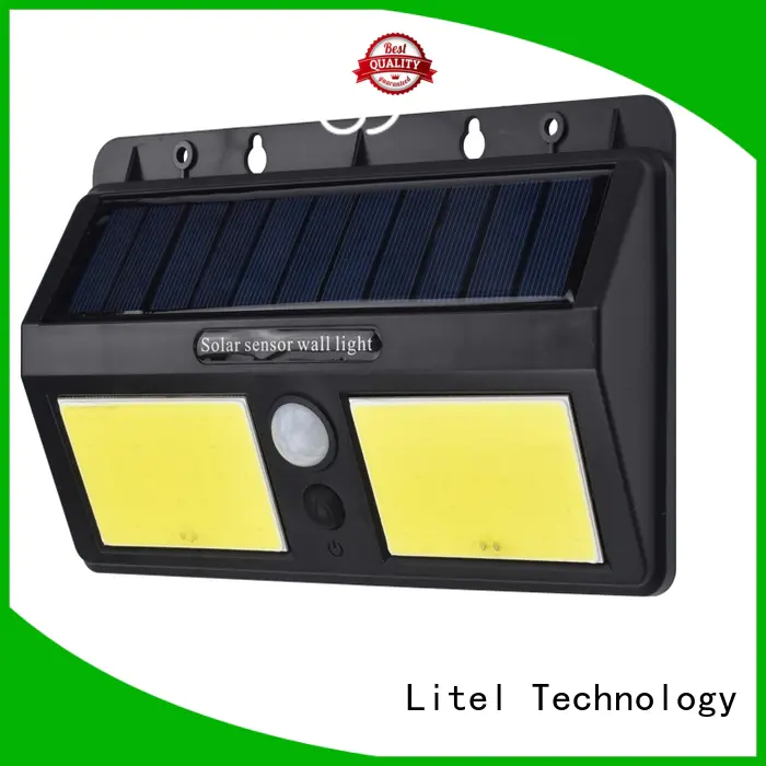 landscape large solar garden lights solar for lawn Litel Technology