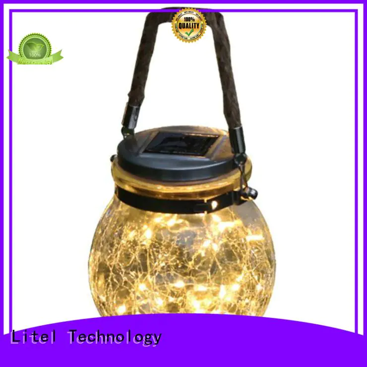 Litel Technology custom outdoor decorative lights at discount for family